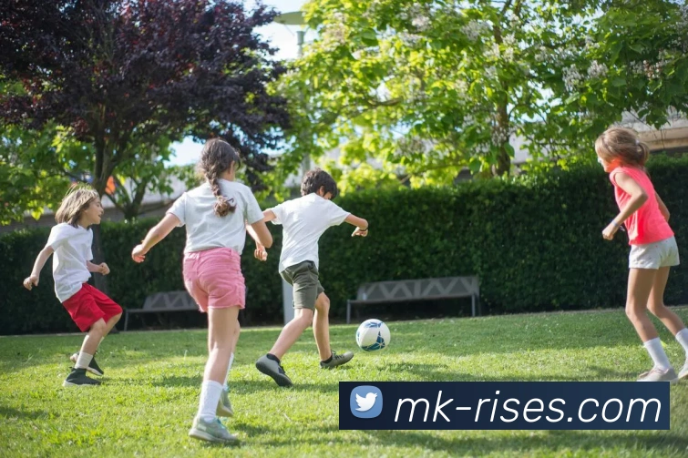 MK体育平台展示图